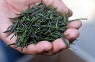 六安瓜片：特种绿茶入门知识普及的第六篇