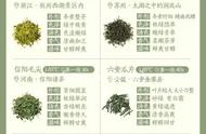 48种名优绿茶品种大全：茶友们的收藏指南