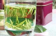 全国哪里产的绿茶最美味？这5款茶你品尝过吗？