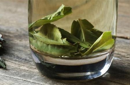 六安瓜片茶鉴赏：体验香醇与回甘的完美融合
